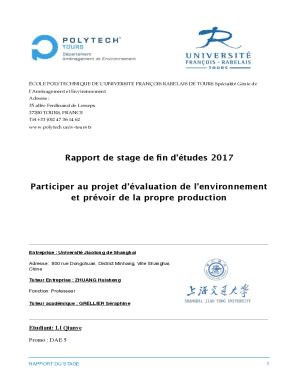 Remplissable En Ligne Memoires Scd Univ Tours Rapport De Stage De Fin D