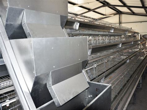 Automatic Feeding System For Chicken Farm