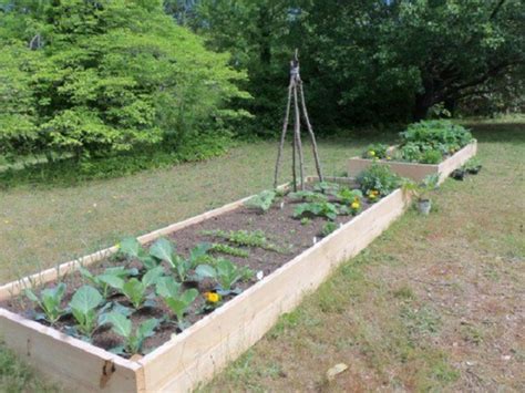 How To Make A Raised Bed Lasagna Garden Dengarden