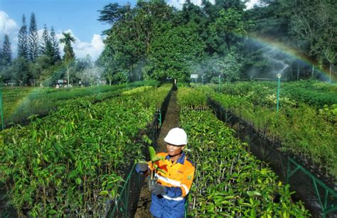 PT Vale Fokus Konservasi Lingkungan Prioritaskan Pembangunan