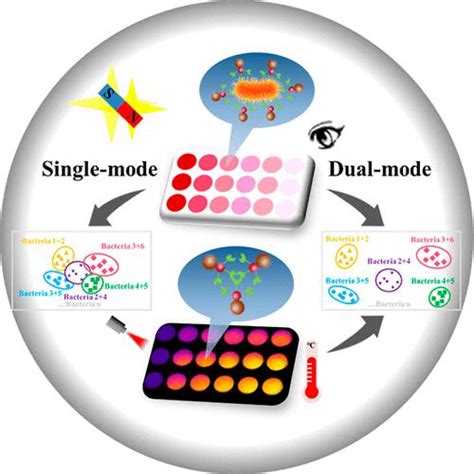 Single Probe Based Colorimetric And Photothermal Dual Mode Identification Of Multiple Bacteria