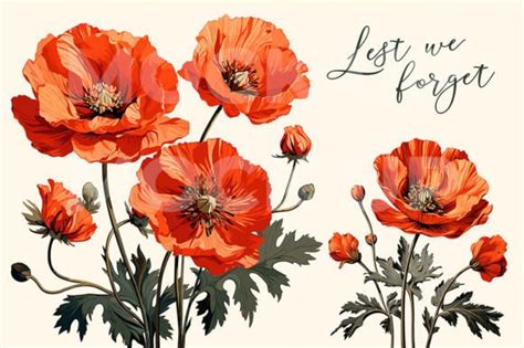 Illustrated Poppy Flower Eps Png Svg Graphic By Lilly Yuan Creative