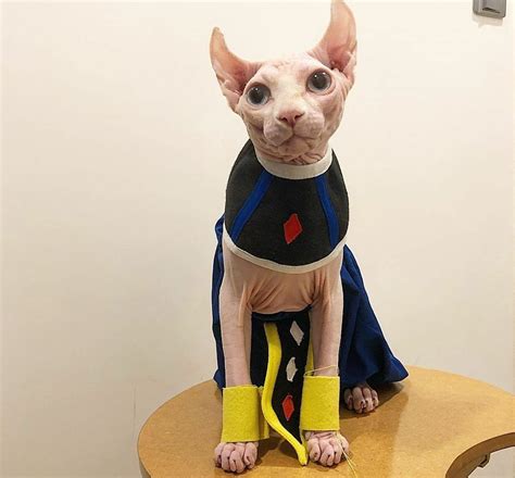 Baby Beerus : r/ksi