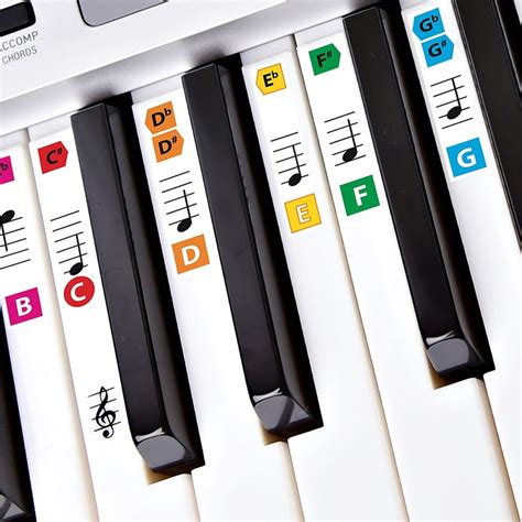 Best Piano Stickers For Beginners - Top 4 Stickers in 2025 | PianoReport