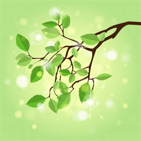 200825 Branch Vector Images Depositphotos