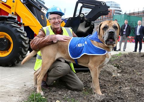 Paul O'Grady Battersea Dogs Home tribute fund reaches over £200k