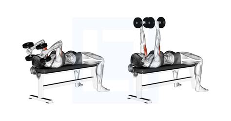 Dumbbell Lying Triceps Extension Guide Benefits And Form