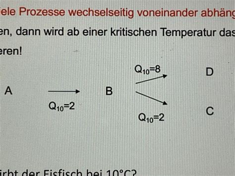 V7 Karteikarten Quizlet