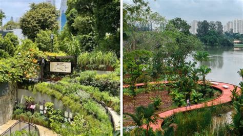 10 Nature Parks In Singapore For A Breath Of Fresh Air