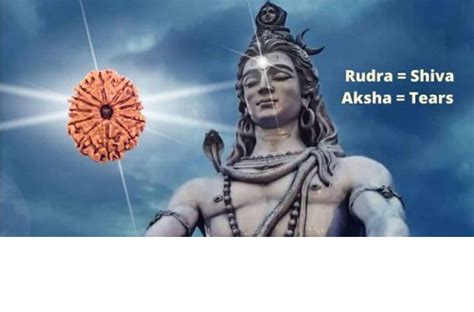 5 Powerful Benefits Of Wearing Rudraksha Ekarudraksha Medium