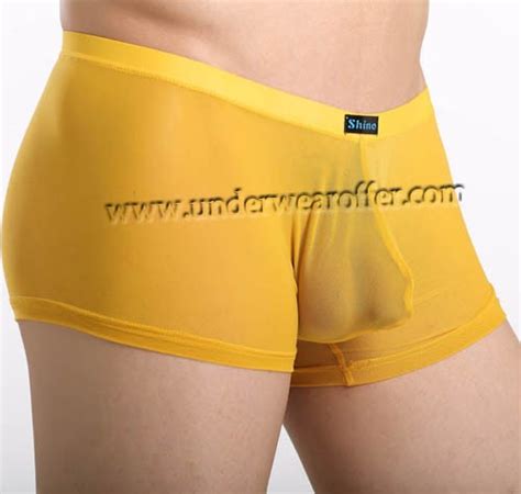 Sexy Mens Sheer Boxer Briefs Bulge Pouch Underwear See Through Mesh