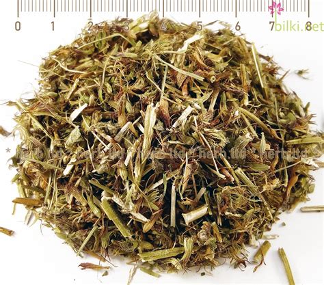 bilki.net Котешка стъпка стрък Clinopodium vulgare 100 гр имунитет ...