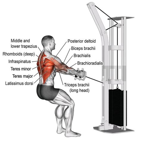 Standing Cable Row Exercise How To Workout Trainer By Skimble