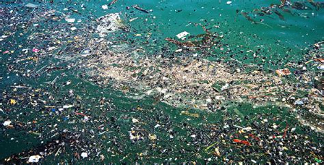 La Gran Mancha De Basura Del Océano Pacífico El Mayor Vertedero