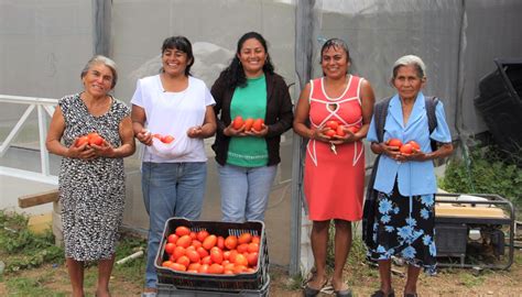 Por Medio De Diversos Programas Sedesol Contribuye A La Inclusi N