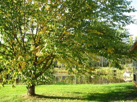 Centre d interprétation Becs et Jardins Sentier Urbain Attraits