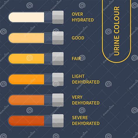 Urine Color Chart Illustration Of Dehydration Level Stock Vector Illustration Of Analysis