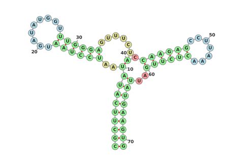 Secondary Structure Of Rna Download Scientific Diagram