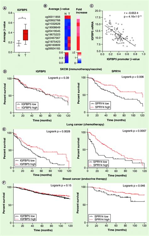 Tcga Data Analysis For Dna Methylation And Overall Survival Analysis Of