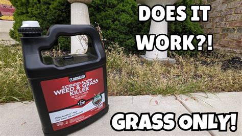 Eliminator Extended Control Weed And Grass Vegetation Killer REVIEW