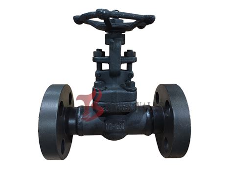 Forged Gate Valve 150LBS 2500LBS Flanged Bw Ends Tengs Valve