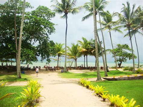 Praia do Espelho - Trancoso - Porto Seguro - BA