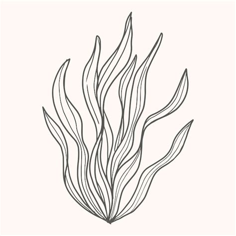 Free Vector Hand Drawn Seaweed Drawing Illustration