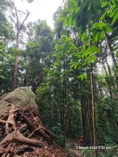 Best Hard Trails In Gunung Ledang National Park Alltrails