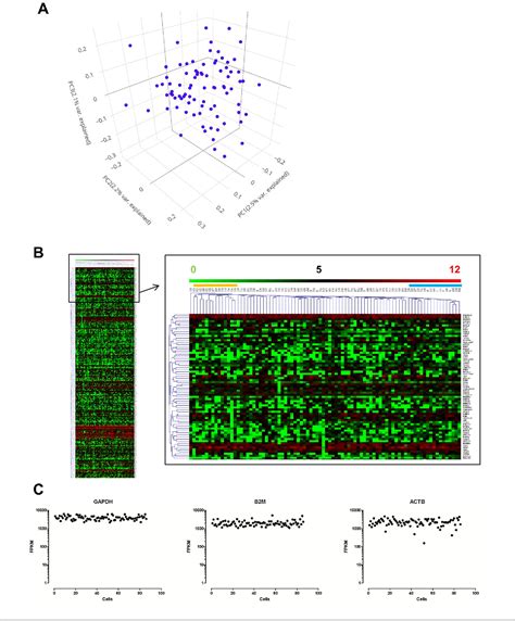 Figure From Single Cell Rna Sequencing Of In Vitro Expanded