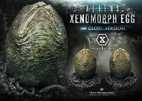 Premium Masterline Aliens (Comics) Xenomorph Egg Close Version ...