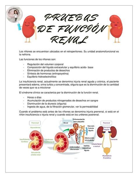 Pruebas de Función Renal Aleshita medstudent uDocz