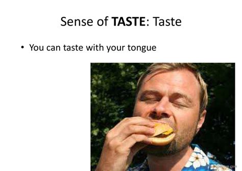 5 Senses Grammar Guide English Esl Powerpoints