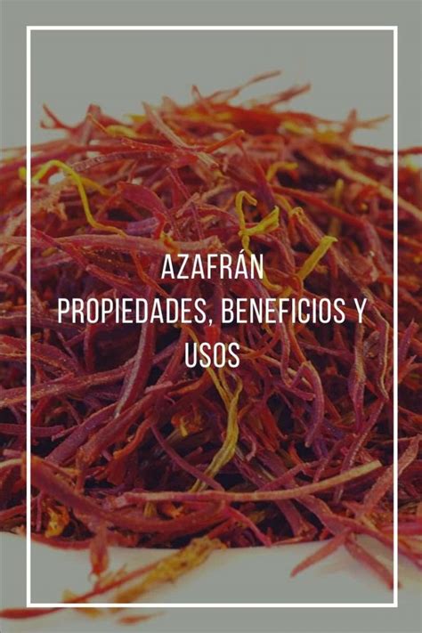 Azafrán propiedades beneficios y usos TDI Colombia