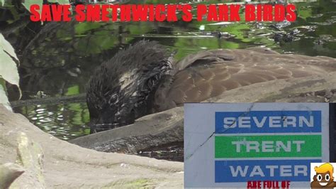 Petition · Clean up your raw sewage pollution Severn Trent Water, to ...