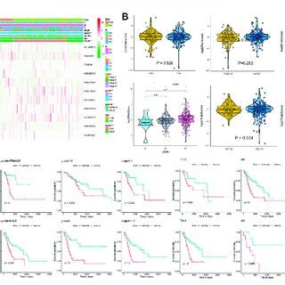 A Heatmap Of The Correlation Between M6A Related Genes And 18