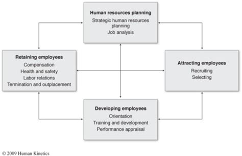 Strategic Human Resource Management Flashcards Quizlet