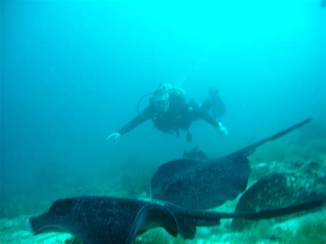 Tour De Buceo Isla Bartolom Get Travel Galapagos Agency Tours