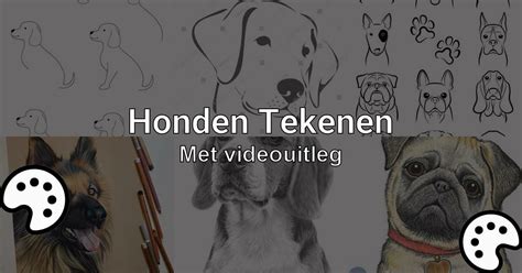 Honden Tekenen Met Videouitleg