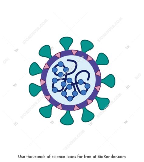 Free Coronavirus Icons Symbols Images BioRender