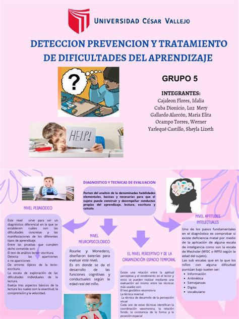 Organizador Gráfico Mapa Conceptual Orgánico Pdf Aprendizaje