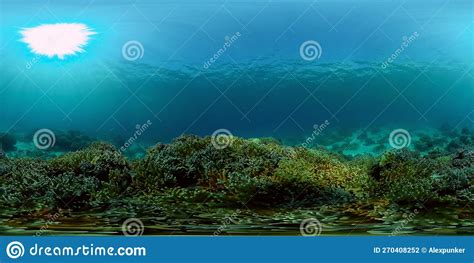 Coral Reef and Tropical Fish. Philippines. Virtual Reality 360 Stock ...