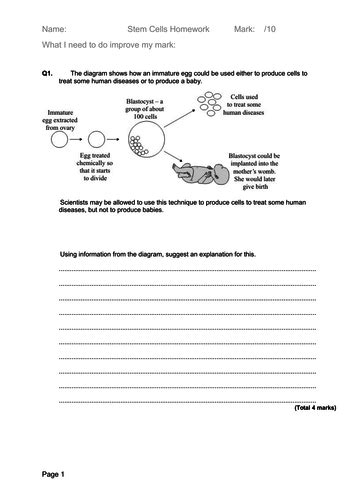 Stem Cell New Aqa Biology Gcse Teaching Resources