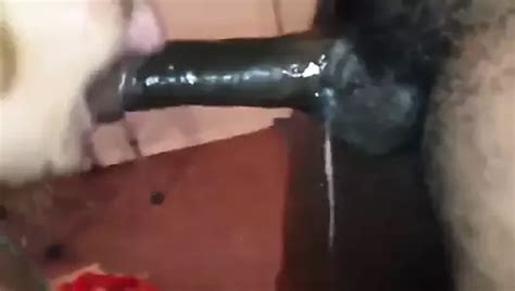 Wife Tasting BBC Big Cock Porn XHamster