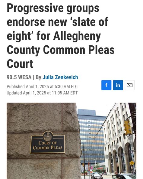 This Guide Explains How To Navigate An Allegheny County Court Of Common Pleas Docket Search For Public Documents 1