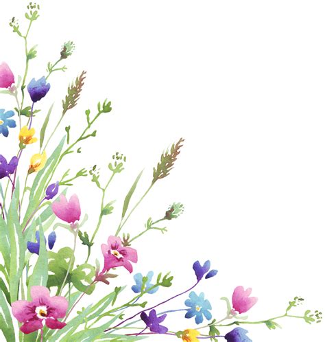 Wildflower Frame Watercolor Clipart 22316332 PNG