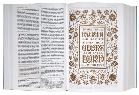 ESV Women's Study Bible Deep Brown (Black Letter Edition) | Koorong