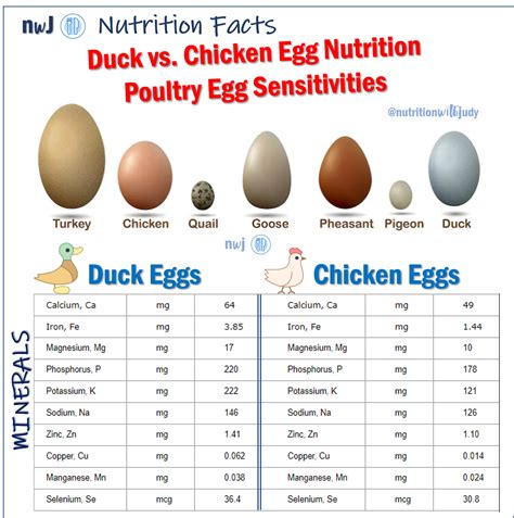 Incredible Edible Egg