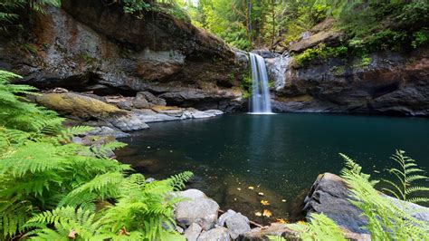 Waterfall Pouring On River Surrounded By Green Trees Forest Hd Nature