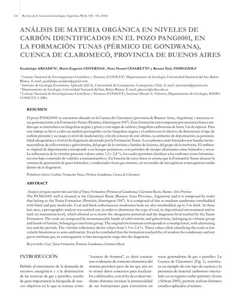 (PDF) Analysis of organic matter into coal beds of tunas formation ...