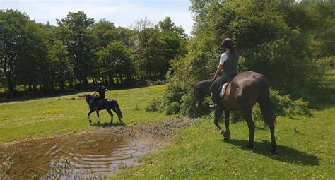 Le Centre Equestre De By Dans L Is Re Se Labellise Equures Bien Tre